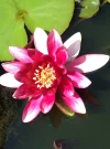 image.webp