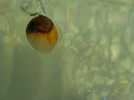 DSCN2062 (2).webp