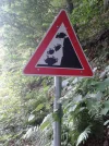 schafschlag.webp