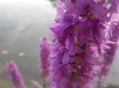 DSCN2074.webp
