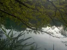 DSCN2071.webp