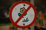DSC_0040.webp