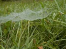 DSCN2102.webp