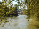 DSCN2136.webp