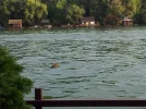 20160821_182512_resize.webp