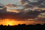 Vorderdeich 2.9.2010 012.webp