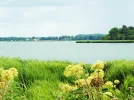 DSCF8210 (2).webp