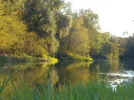 DSCN2155.webp