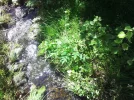 20160828_120154_resize.webp