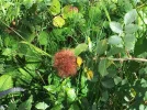 20160828_111259_resize.webp