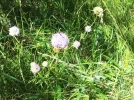 20160828_120926_resize.webp