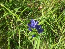 20160828_120948_resize.webp