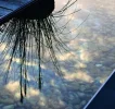 K800_DSC_0825.webp