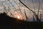 K800_DSC_0845.webp