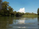 DSCN2240.webp