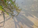 DSCN2224.webp