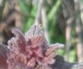 DSCF8181 (2).webp