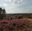 20160911_204952[1].webp