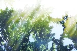 wasserspg.webp
