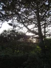 DSC00667.webp