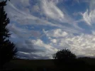 DSC00587.webp