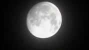 PIC_0007.webp