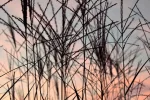 K800_DSC_0938.webp