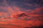 K800_DSC_0941.webp