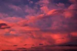 K800_DSC_0942.webp