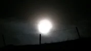 PIC_0008.webp