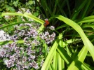 DSC00470.webp