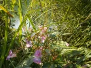 DSCN2267.webp