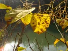 DSCN2279.webp