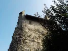 DSCN2311.webp