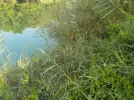 DSCN2305.webp