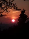 P1010635.webp