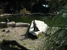 zoo 1.webp