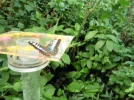 zoo 2.webp