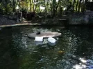 zoo 4.webp