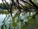 Sommer, Bilder