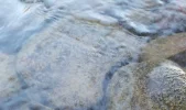 DSCN1950 (2).webp
