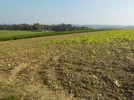 DSCN2359.webp