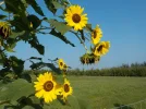 DSCN2346.webp