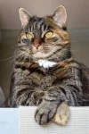 K800_DSC_1231.webp