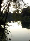 DSCN2379 (2).webp
