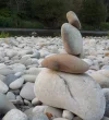 DSCN2390 (2).webp