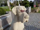 20160922_163515.webp