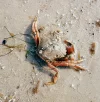 20160925_213722.webp