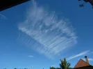 P1010642.webp