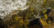 DSCN2440 (2).webp